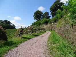 Bastion Baden Hochburg Emmendingen