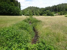 Tennenbchle im Tennenbacher Tal