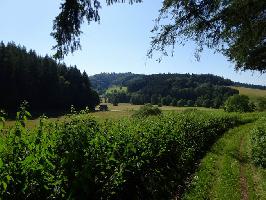 Alte Strae Tennenbach: Sonnenziel