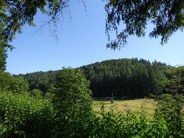Tennenbach und Tennenbacher Tal » Bild 30