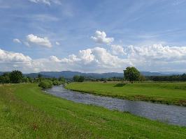 Elz bei Wasser im Breisgau