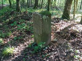 Seitenansicht