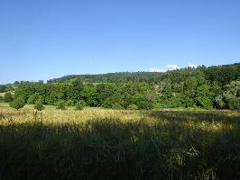 Reitanlage an der Hochburg: Blick Hornwald