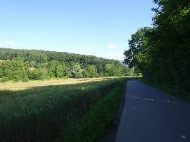Sdblick Zum Schneckenberg Windenreute
