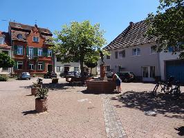 Fronhof