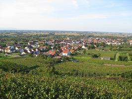 Kaiserstuhl » Bild 17