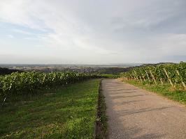 Spielberg Kiechlinsbergen: Bischoffinger Weg