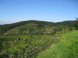 Kiechlinsbergen am Kaiserstuhl » Bild 16