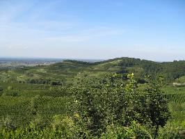 Weinlage Kiechlinsberger lberg