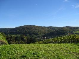Klosterwald