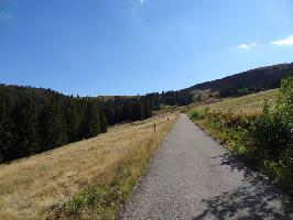 Gemeinde Feldberg im Schwarzwald » Bild 71