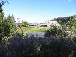 Gemeinde Feldberg im Schwarzwald » Bild 72