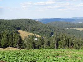 Gemeinde Feldberg im Schwarzwald » Bild 73