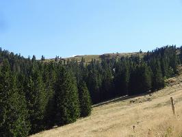 Grble Feldberg: Nordansicht