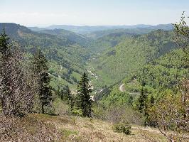 Gemeinde Feldberg im Schwarzwald » Bild 33