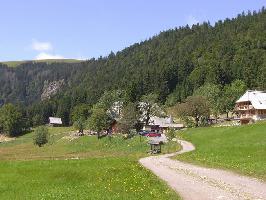 Hochschwarzwald » Bild 66