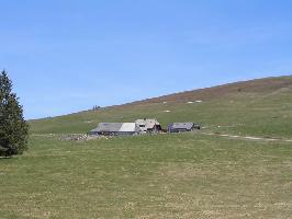 Gemeinde Feldberg im Schwarzwald » Bild 26