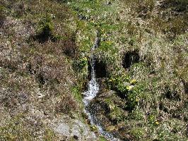 Gemeinde Feldberg im Schwarzwald » Bild 37