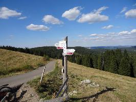 Wegweiser Sgebachdobel oben 1319 m