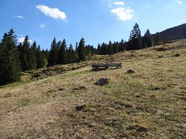 Gemeinde Feldberg im Schwarzwald » Bild 81