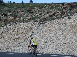Mont Ventoux: Hobby-Radsportler