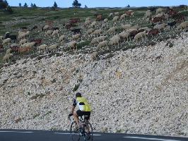 Mont Ventoux  » Bild 5