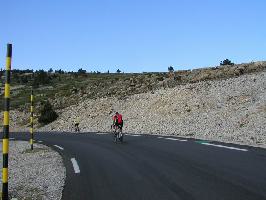 Mont Ventoux: Schafherde