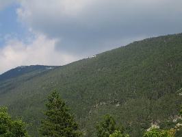 Mont Ventoux: Waldgebiet im unteren Bereich