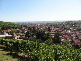 Ribeauvill im Elsass