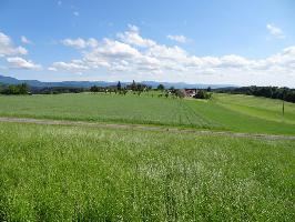 Allmendsberg: Sdblick