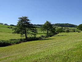 Brettenbach sdlich vom Wohnplatz Brettental