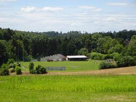 SV Ottoschwanden
