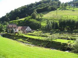 Forellenstble