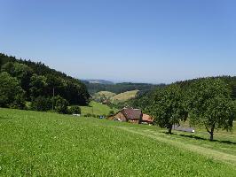 Waldhutsbachtal