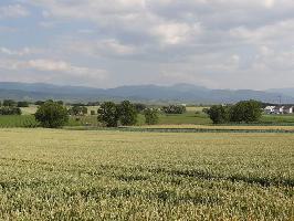 Acht Jauchert: Blick Belchen