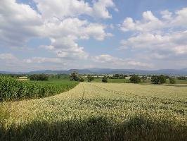 Acht Jauchert: Blick Schnberg