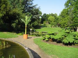 Botanischer Garten Freiburg Wiese