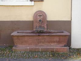 Freiburg Herdern » Bild 7