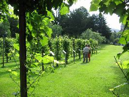 Weinlehrpfad Colombipark