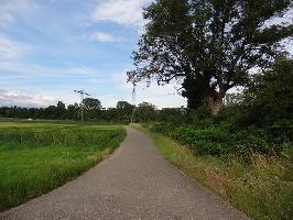 Untere Ksere Dietenbachniederung: Blick Becanconallee