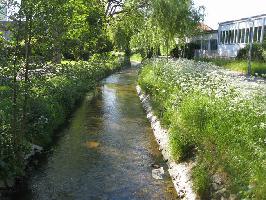 Dorfbach Freiburg Halsach