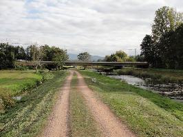 Dreisambrcke