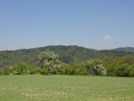 Falkhof Littenweiler: Blick Rokopf