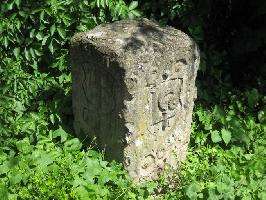 Fossilien