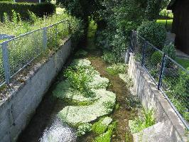 Dorfbach Freiburg-Hochdorf