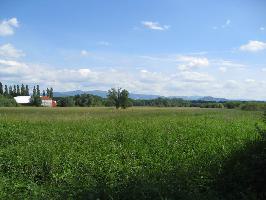 Freiburg-Hochdorf  Mhlmatten