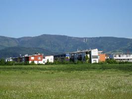 Rieselfeld Freiburg: Blick Schauinsland