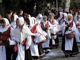 Umzug - 75 Jahre Breisgauer Narrenzunft » Bild 8
