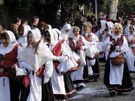 Jubilumsumzug 44 Jahr Narrenzunft Kappel » Bild 7