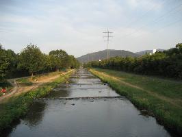 Freiburg im Breisgau » Bild 41